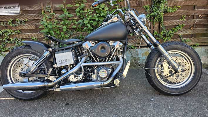 harley1200klein